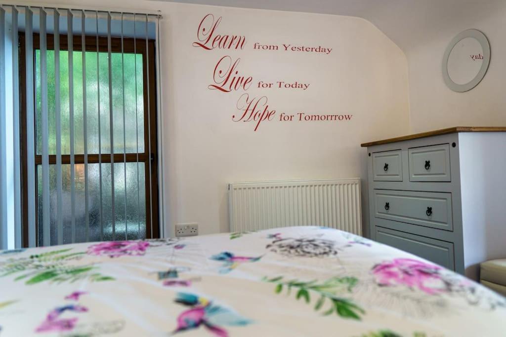 Millers Cottage Llandysul エクステリア 写真